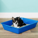 Fresh Step for Pets Plastic Disposable Litter Box