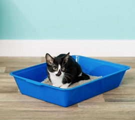 Fresh Step for Pets Plastic Disposable Litter Box