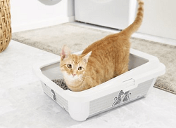 Frisco Feline the Love Litter Box