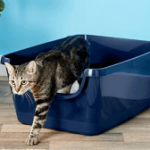 Frisco High Sided Cat Litter Box
