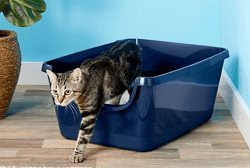 Frisco High Sided Cat Litter Box
