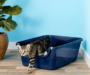 Frisco High Sided Cat Litter Box