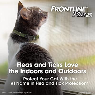 Frontline Plus For Cats