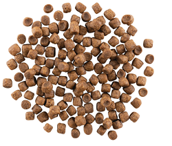 Go! Solutions Carnivore Grain-Free Chicken, Turkey + Duck Recipe Dry Cat Food