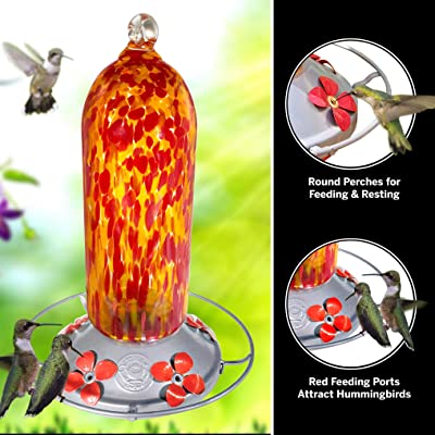 Grateful Gnome - Hummingbird Feeder