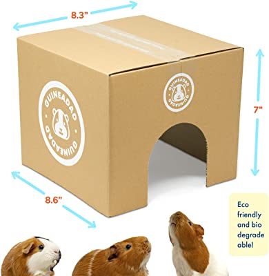 GuineaDad Crunchy Condo Hideaway Hideout (Pack of 3)