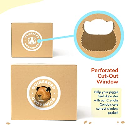 GuineaDad Crunchy Condo Hideaway Hideout (Pack of 3)