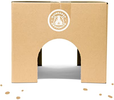GuineaDad Crunchy Condo Hideaway Hideout (Pack of 3)