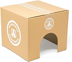 GuineaDad Crunchy Condo Hideaway Hideout (Pack of 3)