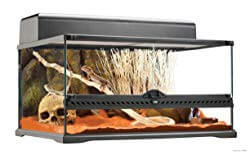 Exo Terra Glass Natural Terrarium Kit
