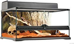 Exo Terra Glass Natural Terrarium Kit