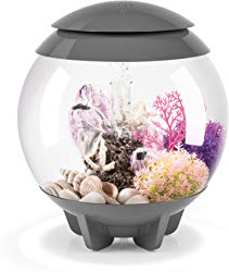 biOrb HALO 15 Aquarium with MCR Lighting
