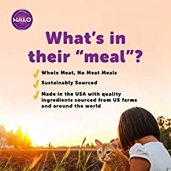 Halo Chicken Recipe Pate Grain-Free Indoor Cat Canned Cat Food