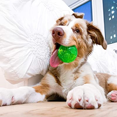 Hyper Pet DuraSqueak Dog Ball Dog Toy