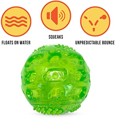 Hyper Pet DuraSqueak Dog Ball Dog Toy