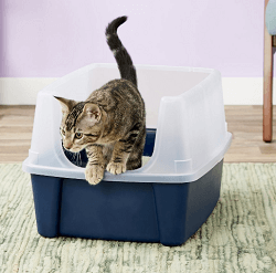 IRIS Open Top Litter Box with Shield