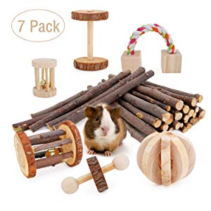 JanYoo Guinea Pig Chew Toys