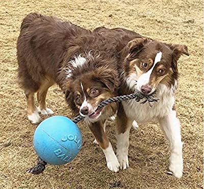 Jolly Pets: Rope and Ball Tug Toy
