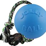Jolly Pets: Rope and Ball Tug Toy