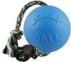 Jolly Pets: Rope and Ball Tug Toy