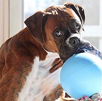 Jolly Pets: Rope and Ball Tug Toy