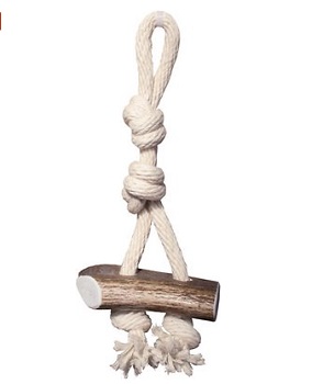 KONG Wild Elk Antler Dog Toy