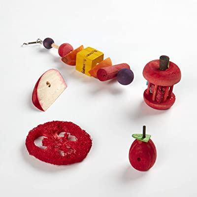 Kaytee Chew & Treat Toy Assortment for Guinea Pigs