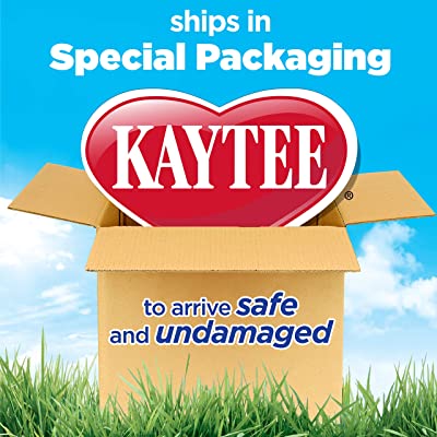 Kaytee Chew & Treat Toy Assortment for Guinea Pigs