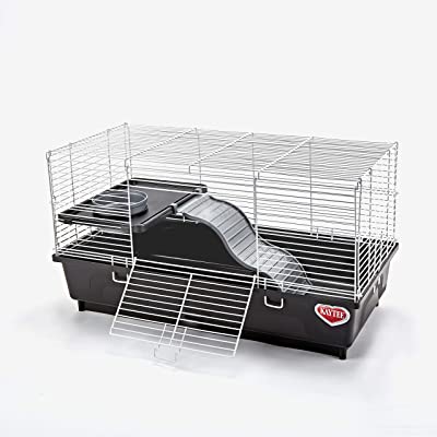 Kaytee My First Home Habitat for Pet Rat