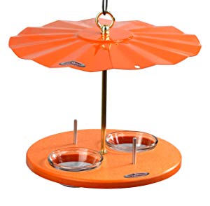 Kettle Moraine Super Oriole Recycled Orange Fruit