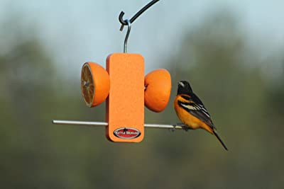 Kettle Moraine Recycled Single Oriole Orange Fruit Stick Feeder