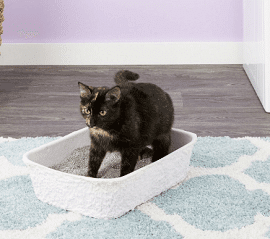 Kitty's WonderBox Disposable Litter Box
