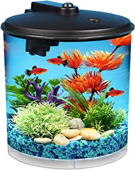 Koller Products AquaView 2-Gallon 360 Aquarium with Power Filter & LED Lighting