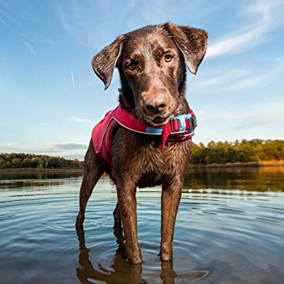 Kurgo Dog Water Life Jacket