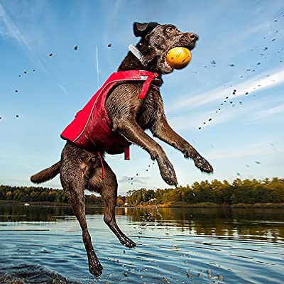 Kurgo Dog Water Life Jacket