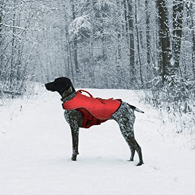 Kurgo Dog Water Life Jacket
