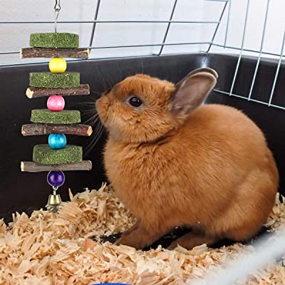 Bunny Chew Toys for Teeth