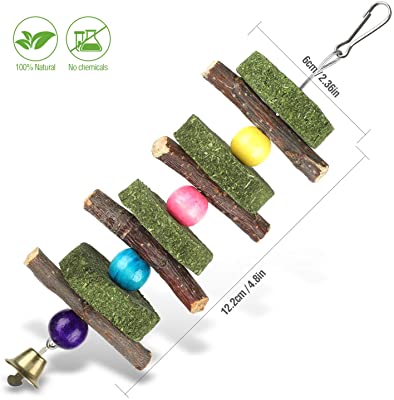 Bunny Chew Toys for Teeth