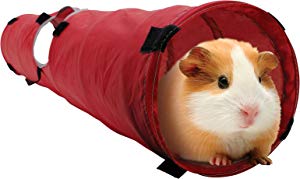 Living World Small Animal Tunnel