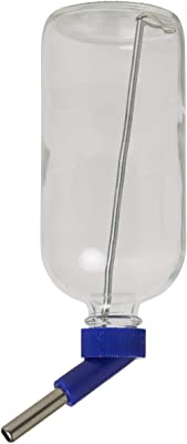 Lixit Chew Proof Glass Bird & Small Animal Water Bottle