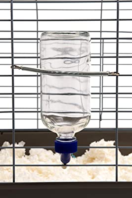 Lixit Chew Proof Glass Bird & Small Animal Water Bottle