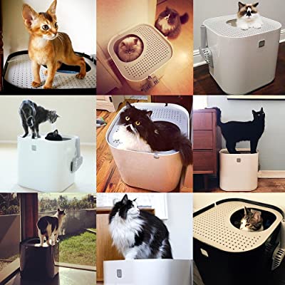 Modkat Top Entry Litter Box Kit