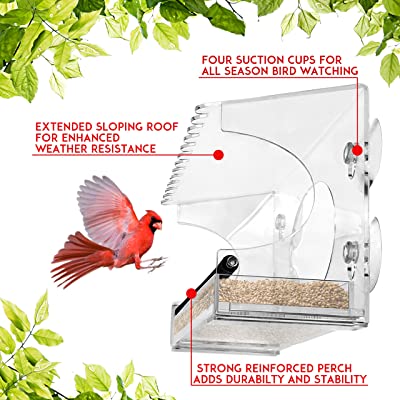 Nature Gear XL Window Bird Feeder