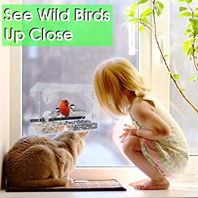 Nature Gear XL Window Bird Feeder