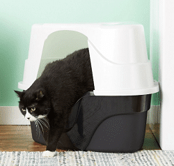 Nature's Miracle Just For Cats Advanced Hooded Corner Cat Litter Box