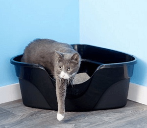 Nature's Miracle Just For Cats Advanced High Sided Corner Cat Litter Box