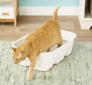 Nature's Miracle Disposable Cat Litter Box