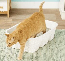 Nature's Miracle Disposable Cat Litter Box