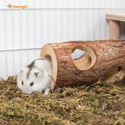 Niteangel Natural Wooden Hamster and Mouse Tunnel Tube Toy
