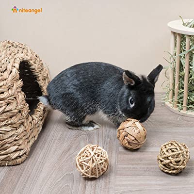 Niteangel Small Animal Trio of Fun Balls Activity Toy
